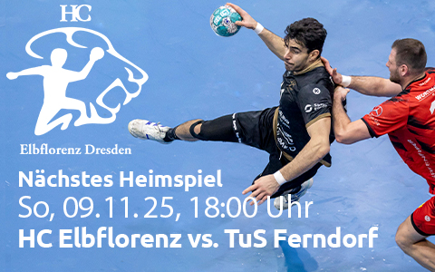 News BallsportARENA Dresden